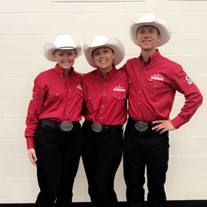 Meet your Posher, Casey